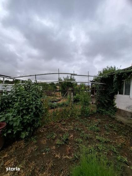 Teren de 1260 mp, în Giarmata