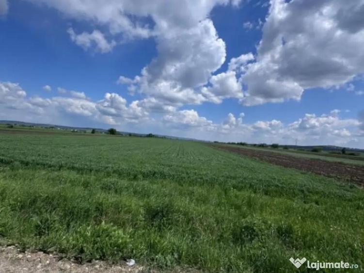 Teren extravilan, 1 hectar, Volovat - 3