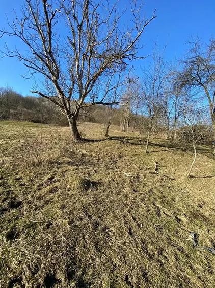 TEREN DE VANZARE -SULTANU,VISINESTI - 4