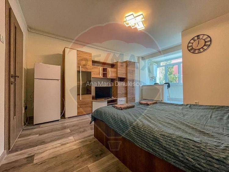 Garsoniera mobilata si utilata, PET FRIENDLY,  zona Garii!