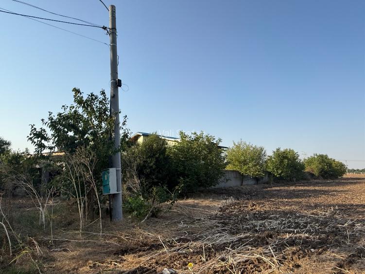 Teren Dn4 Frumusani Teren Dn4 Frumusani