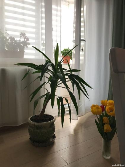 Garsoniera conf 1 - 6