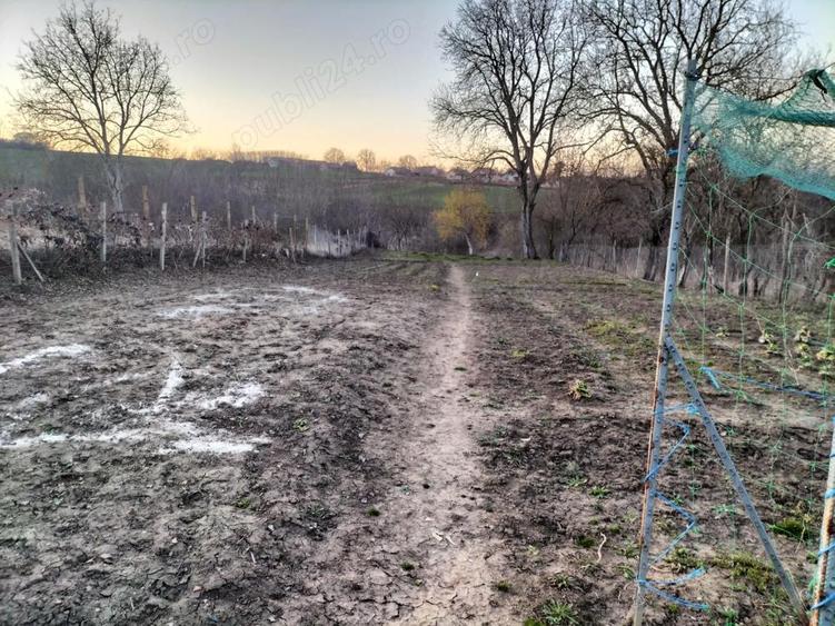 Casa de vanzare Haranglab, jud.Mures - 4