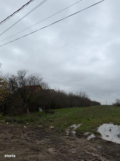 Vanzare teren intravilan 5014mp Afumati - Strada Sperantei - 2