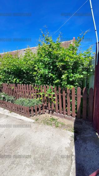  Casa individuala 4 camere - Giroc - 800 mp - 160.000 euro  - 15