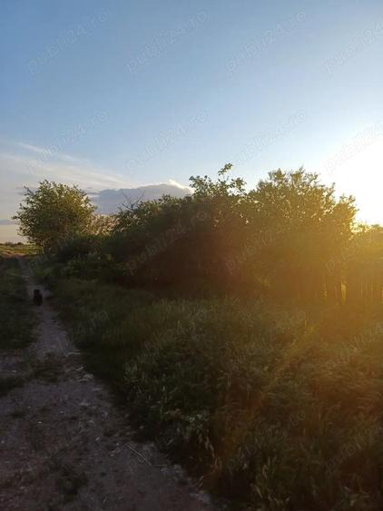 Vand casa la ?ara - 4