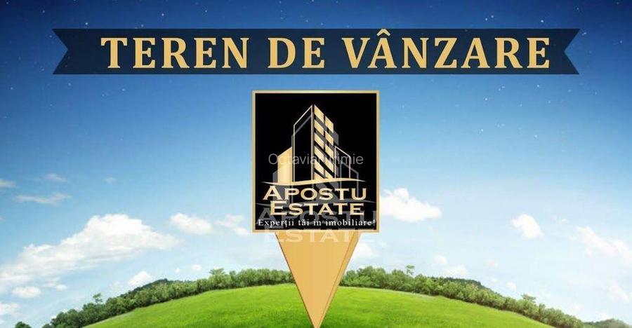 Teren industrial zona nod rutier autostrada Timisoara- Be...
