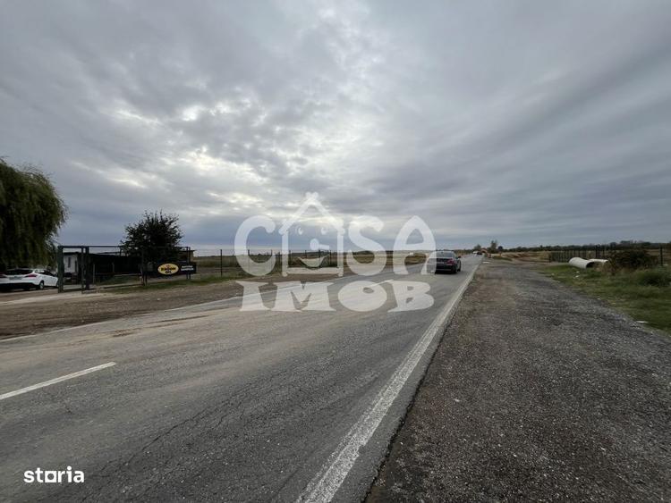 Teren intravilan 15000 mp oportunitate business - 7