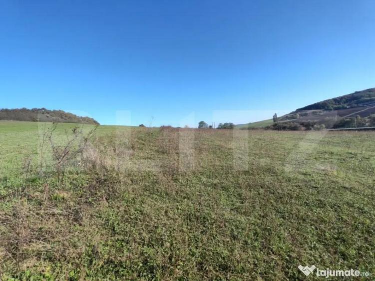 Teren intravilan de vanzare - 5