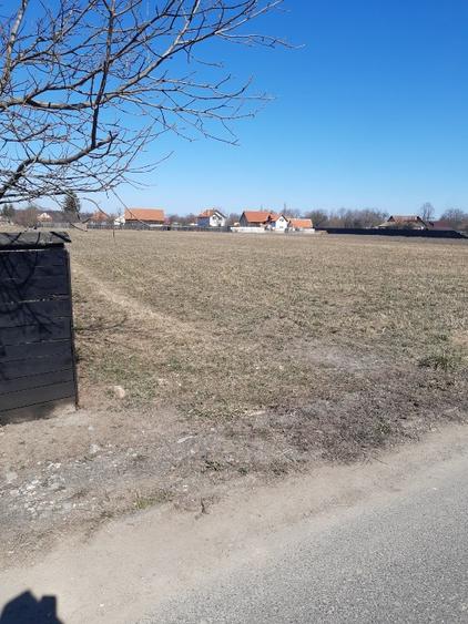 Vand teren intravilan construibil asfalt utilitati Lunca Calnicului - 11