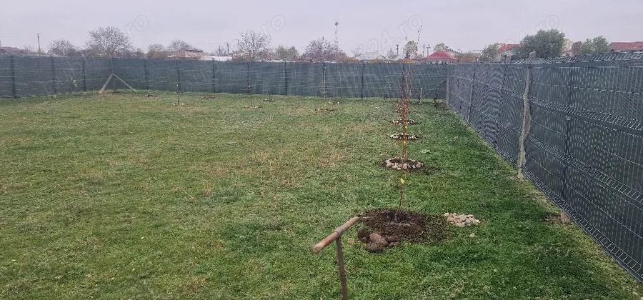 Casa Vii?oara, Paune?ti, Vrancea - 5