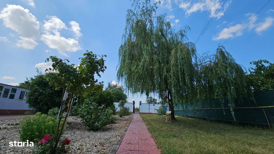 VIla P+1+M, Piscina acoperita+Garaj, teren 1300 mp - 5