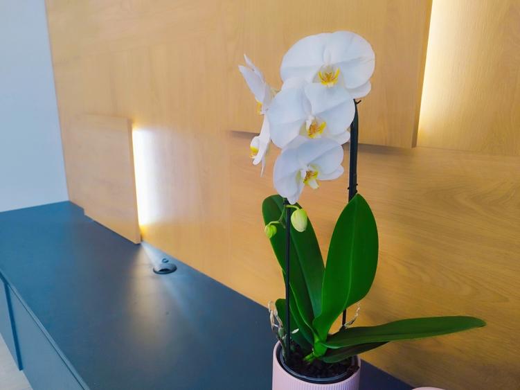 Apartament  3 camere Baneasa Direct Dezvoltator - 2