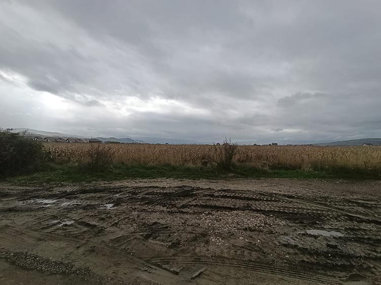 🌳 Teren de vânzare în Comuna Cristian – județul Brașov - 8