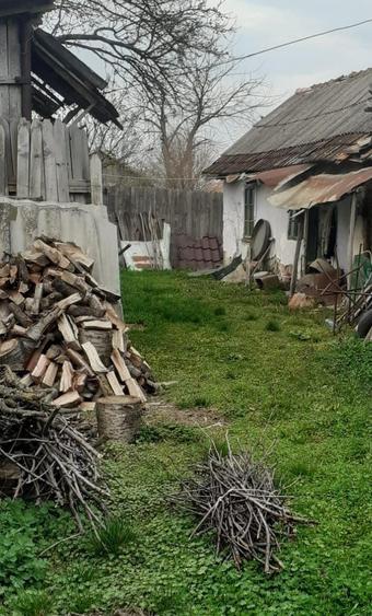 Teren + casa batraneasca - 4