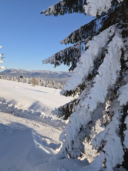 Teren Piatra Fantanele - 6