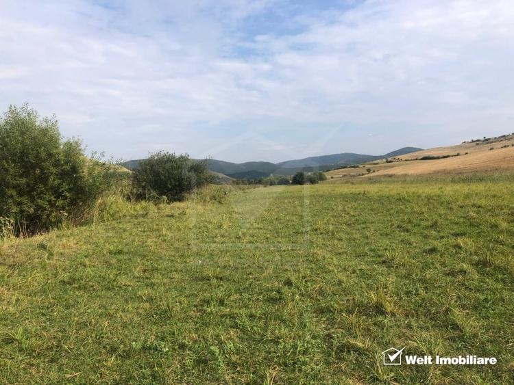 21.500 mp de teren cu privelisti superbe in Valea Agrisului (comuna Iara) - 7