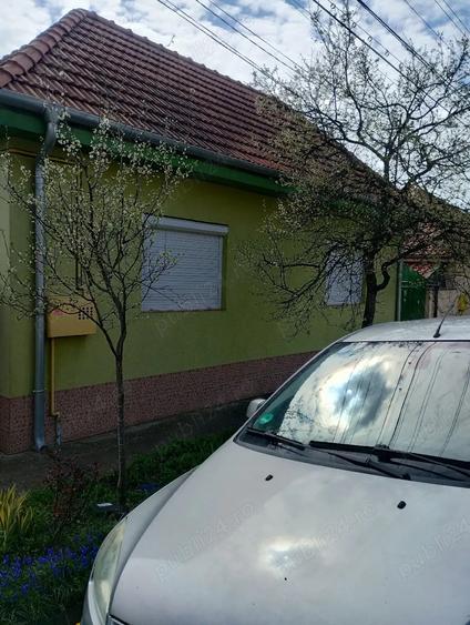 Casa in Ghiroda Noua - 2