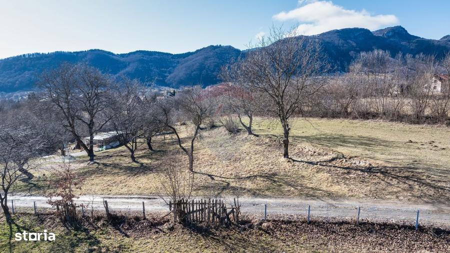 Comision 0%! Teren intravilan Predelut 1260mp - 2