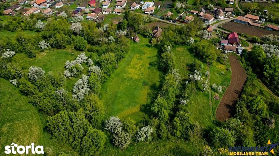 Casa traditionala,zona pitoreasca,domeniu de 3.400 mp,Suveica,Acatari, - 6