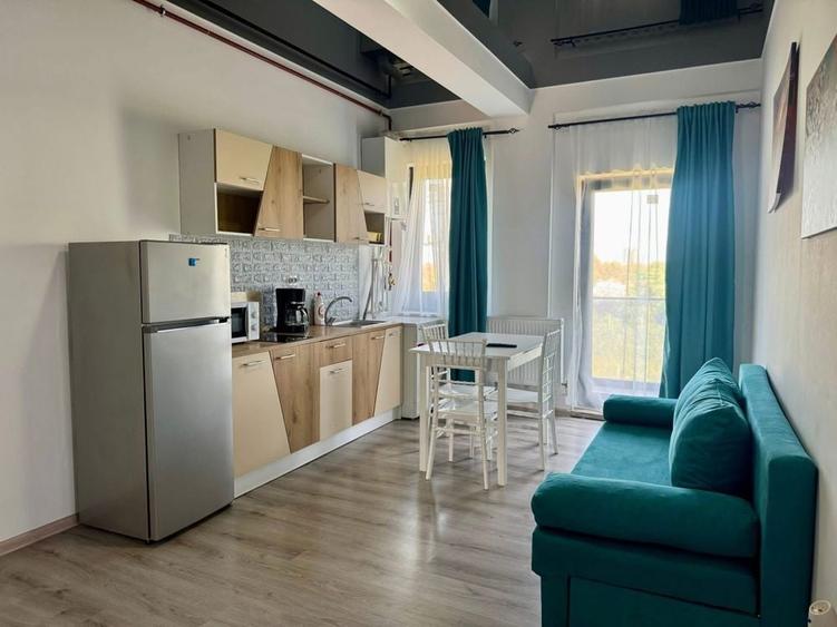Apartamente de inchiriat/mai-500 euro - 3