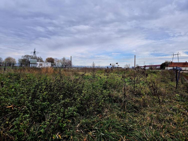 Teren constructie hala/depozit/mica insdustrie/service auto, Halchiu - 4