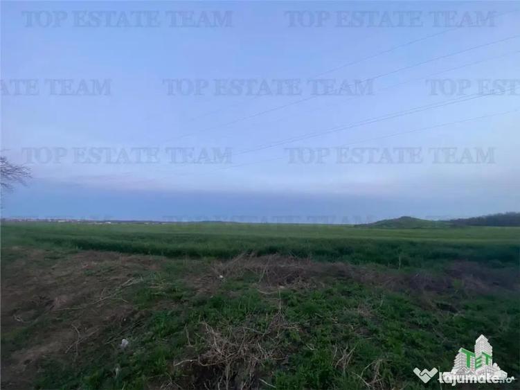 Teren intravilan 15000 mp Costinesti, Constanta - 7