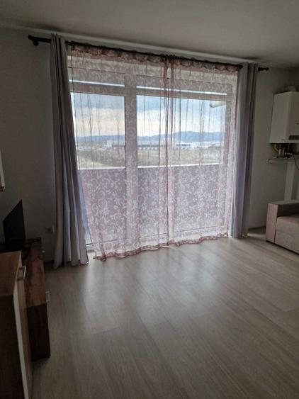 Apartament de inchiriat Sebes - 4