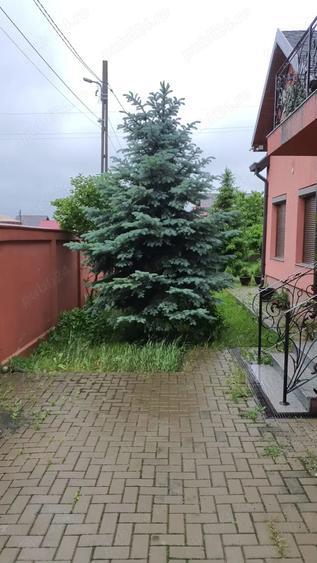 Casa P+E+ M, canalizare, Cartier Editurii, Lunca Cetatuii - 9