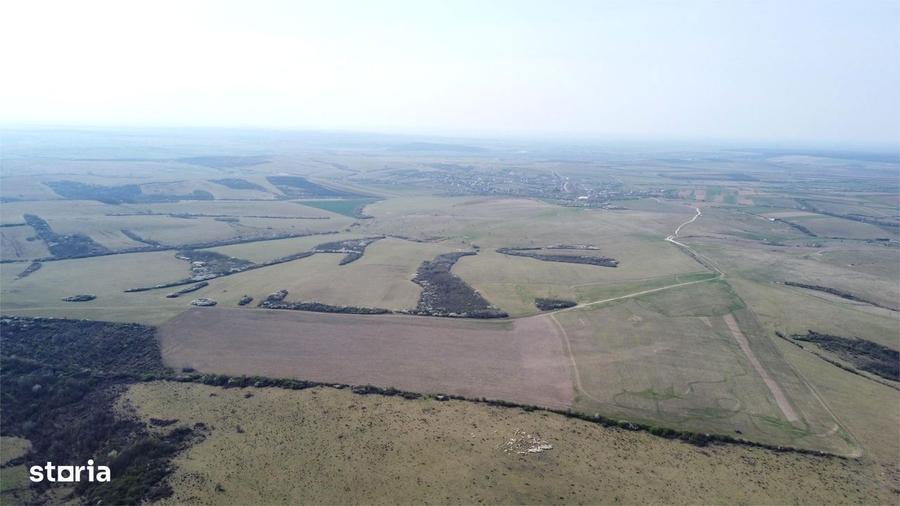 Teren 26.82 ha Ardud | Oportunitate pentru dezvoltare - 3