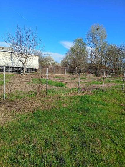 Vand teren Bolentin Vale - 3