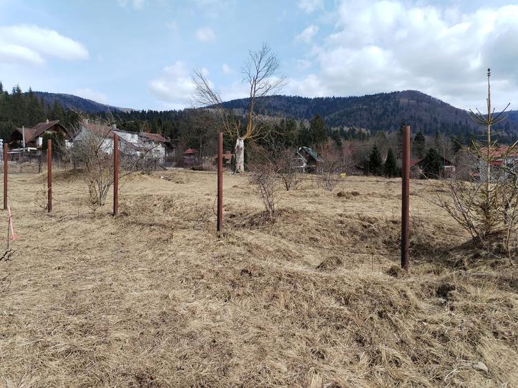 Teren intravilan cartier Cumpatu - 3