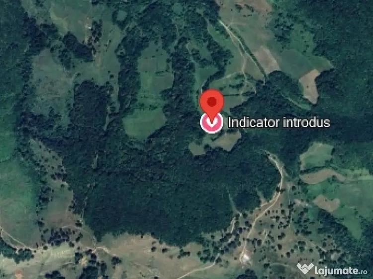 18.000 Mp teren extravilan in jud Sibiu comuna Mihaileni sat ?elcau pret negociabil - 2