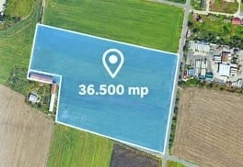 Teren Construcții intravilan de 36500 mp, în Sânnicolau Mic