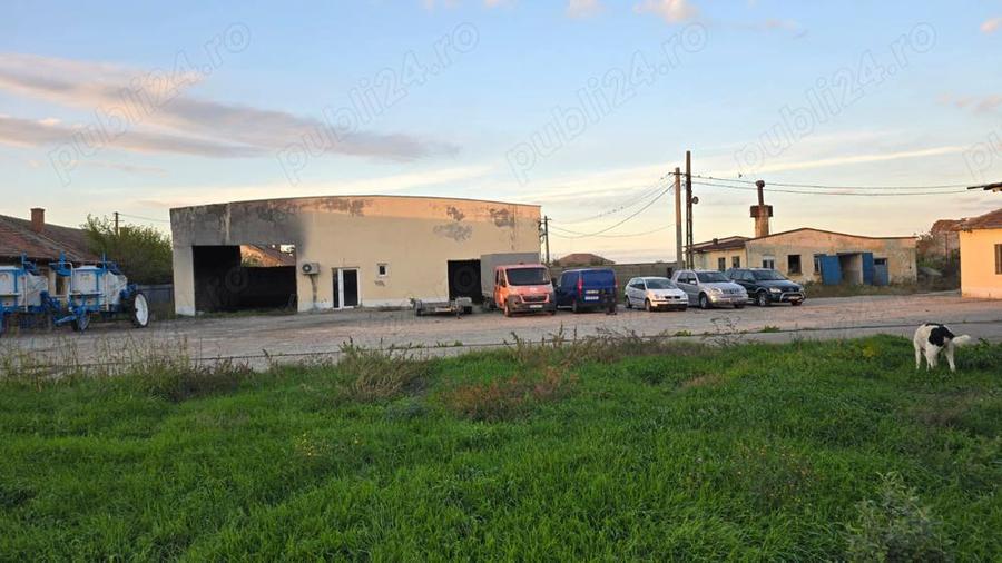 Vand hale frig (1200 mp)+teren intravilan 6400 mp (3000 curte betonata) in Carani (intre TM si AR ) - 16