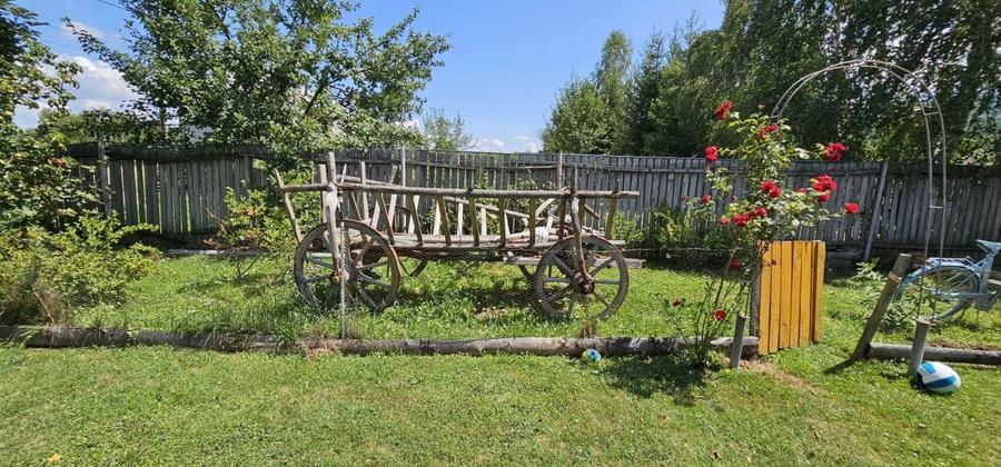 CASA VACANTA-zona pitoreasca minunata - 7