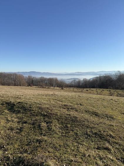 Teren de vanzare 10 000 mp - 2