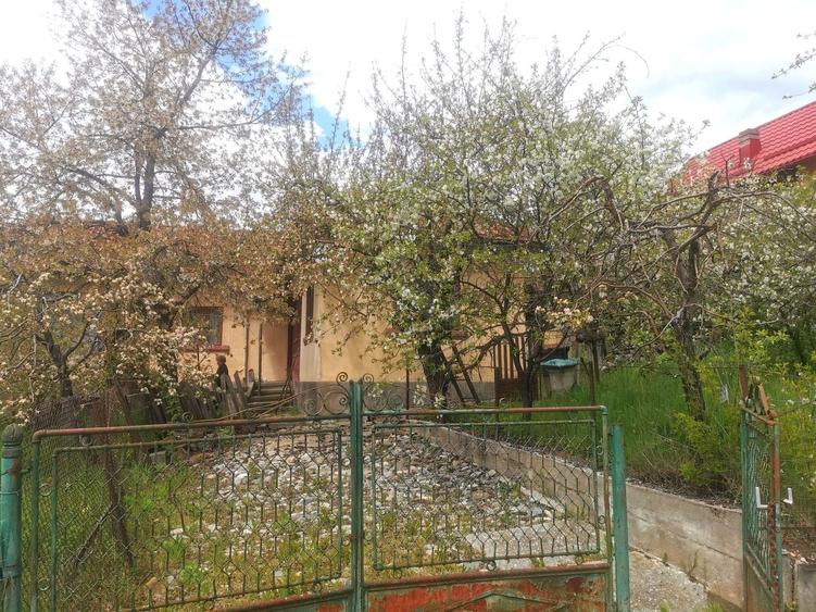 Casa/Teren de vanzare - 2
