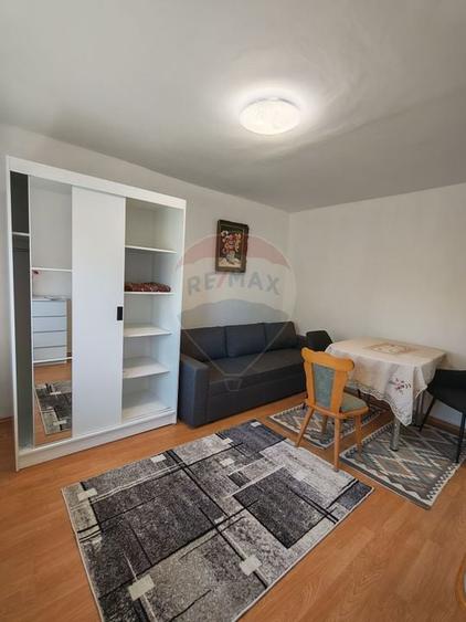 Garsonieră spațioasă cu balcon mare, Brazda, etaj 1 - 4