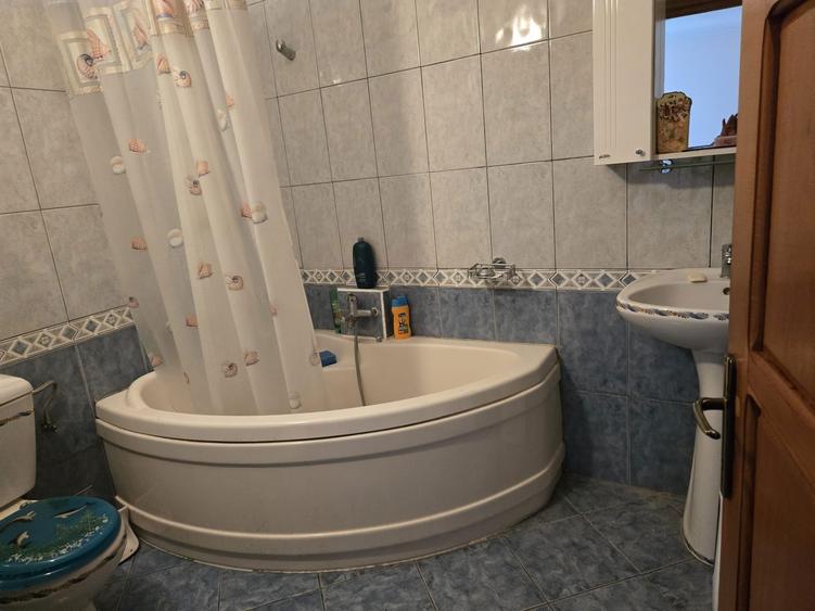 De vanzare casa in municipiul Orsova - 2