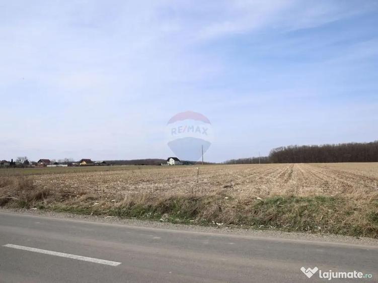 Teren 9,740mp Suceava / Strada Principala - 7