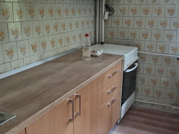 Calea Vitan stradal, 5 minute metrou Mihai Bravu - 11