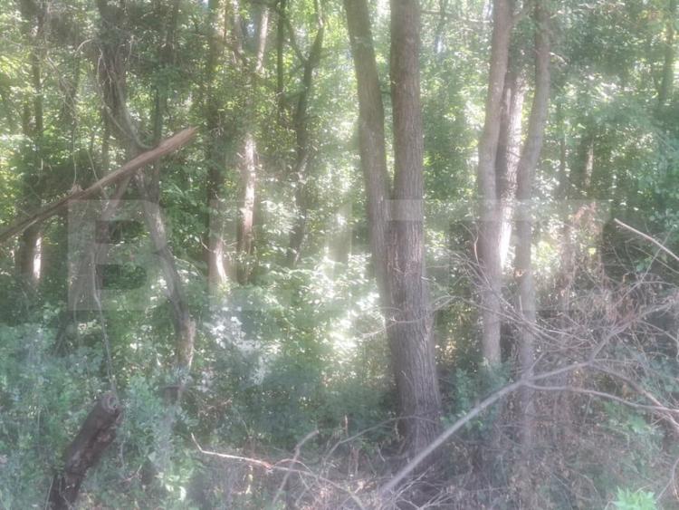 Teren de 7500 mp, în Șuța Seacă