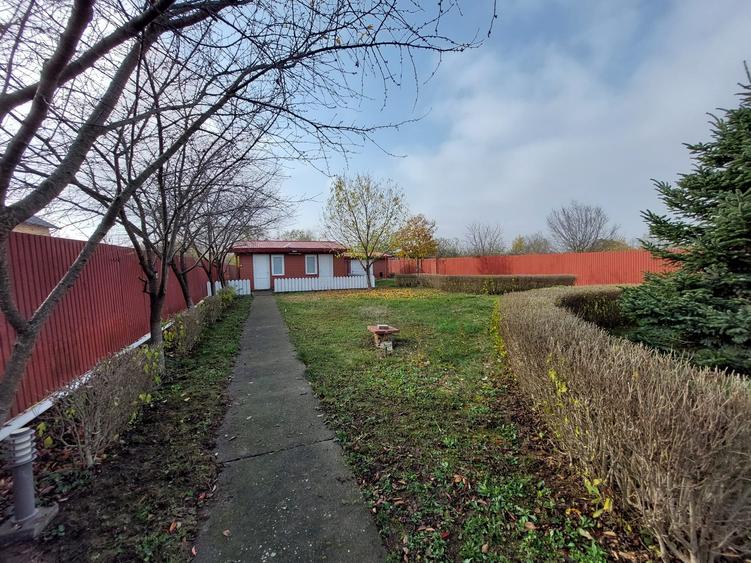 Casă de închiriat, curte mare, livadă și piscină Snagov/Ciolpani - 2