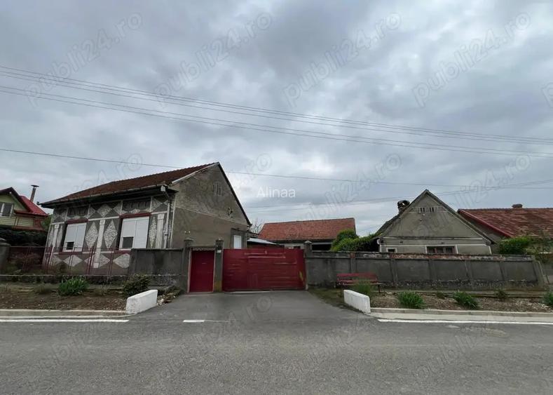 Casa Topolovatu Mare Casa Topolovatu Mare