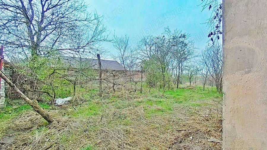 Casa cu poten?ial, teren generos de 1.440 mp Secusigiu, Arad - 7