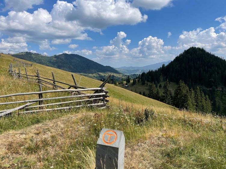 Unicat! 17 Ha Hectare teren intravilan + extravilan in Fundu Moldovei - 1