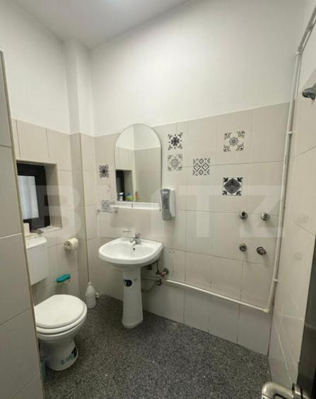 Spatiu cu vad pietonal si auto, zona Ultracentrala - 2