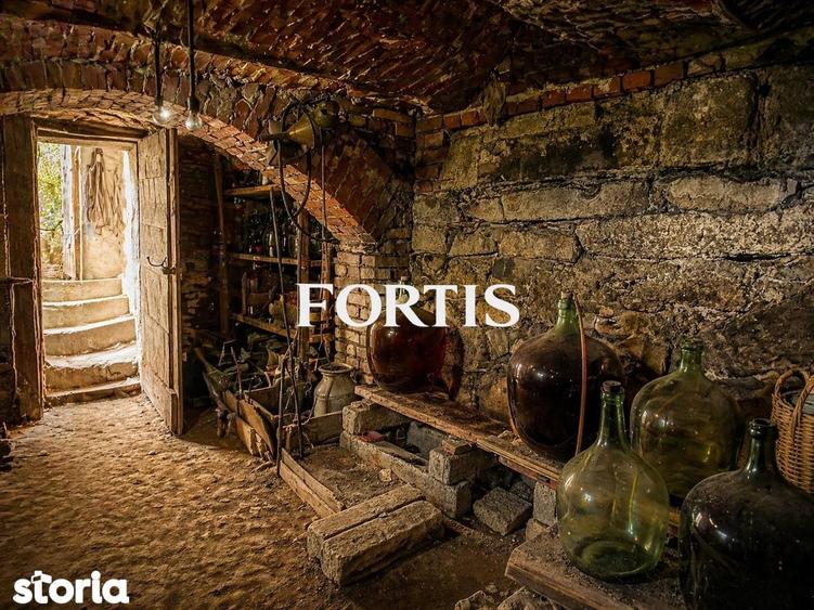 Casa de vanzare in Fagaras, zona 13 Decembrie 0% COMISION - 15