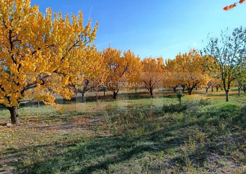 Teren Intravilan 6300 mp Magurele Prahova , Oportunitate !